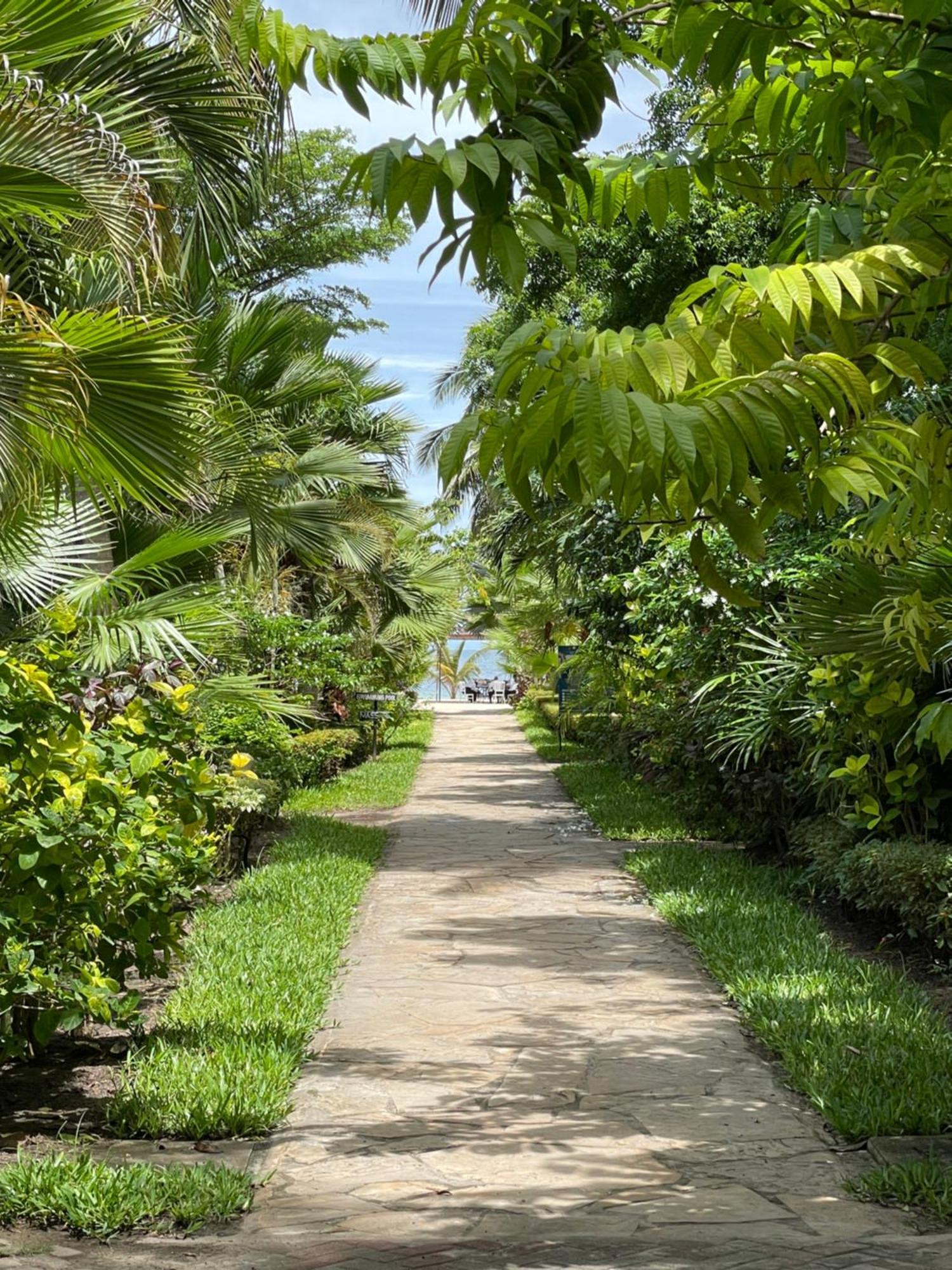 Kijiji Beach Resort Daressalam Exterior foto